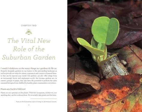 Bringing Nature Home: How You Can Sustain Wildlife with Native Plants, Updated and Expanded by Douglas W. Tallamy