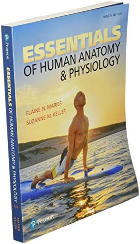 Essentials of Human Anatomy & Physiology by Elaine Marieb