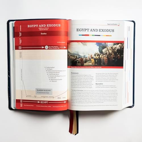 The Great Adventure Catholic Bible, Second Edition (Leatherlike) | RSV-2CE, Complete Catholic Bible, Bible Timeline® Learning System, Bible in a Year™ Reading Plan, Charts, Maps, & Articles by Jeff Cavins