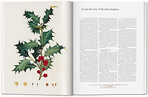 A Garden Eden: Masterpieces of Botanical Illustration (Fantastic Price) (Multilingual Edition) by H. Walter Lack