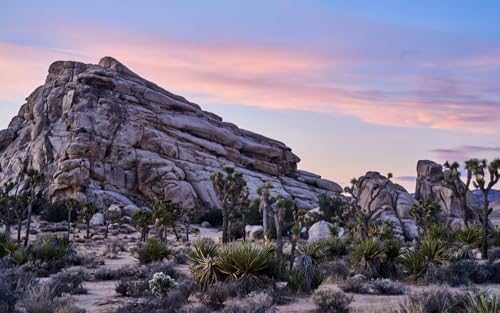 La Copine: New California Cooking from an Oasis in the Desert by Claire Wadsworth
