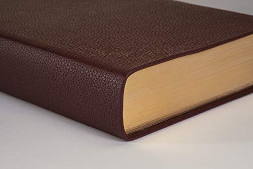NLT Personal Size Giant Print Bible, Filament Enabled (LeatherLike, Rustic Brown, Red Letter): Includes Free Access to the Filament Bible App ... Notes, Devotionals, Worship Music, and Video by New Living Translation