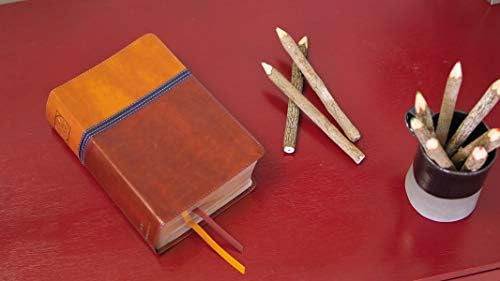NIV Study Bible, Fully Revised Edition (Study Deeply. Believe Wholeheartedly.), Personal Size, Leathersoft, Brown/Blue, Red Letter, Comfort Print by Zondervan