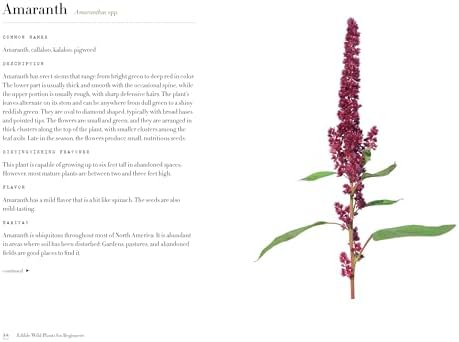 Edible Wild Plants for Beginners: The Essential Edible Plants and Recipes to Get Started by Althea Press