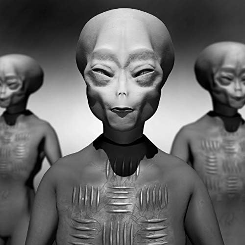 The Extraterrestrial Species Almanac: The Ultimate Guide to Greys, Reptilians, Hybrids, and Nordics (MUFON) by Craig Campobasso