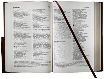 La Biblia Católica: Edición letra grande. Tapa dura, marrón, con Virgen de Guadalupe en cubierta / Catholic Bible. Hard Cover, brown, with Virgen (Spanish Edition) by Biblia de América