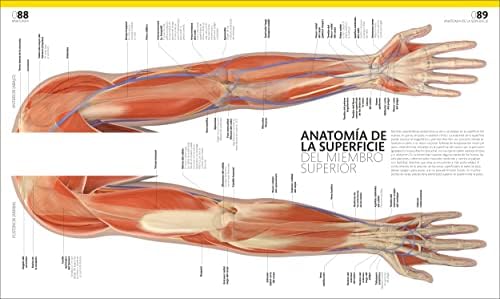 El gran libro del cuerpo humano (The Complete Human Body) (Spanish Edition) by Dr. Alice Roberts
