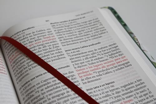 Biblia RVR 1960 letra grande Tapa dura y tela verde con flores tamaño manual / Bible RVR 1960 Handy Size Large Print Hardcover Cloth with Green Floral (Spanish Edition) by Reina Valera Revisada 1960