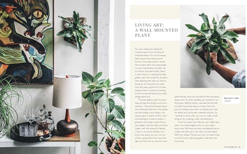 Wild Creations: Inspiring Projects to Create plus Plant Care Tips & Styling Ideas for Your Own Wild Interior by Hilton Carter
