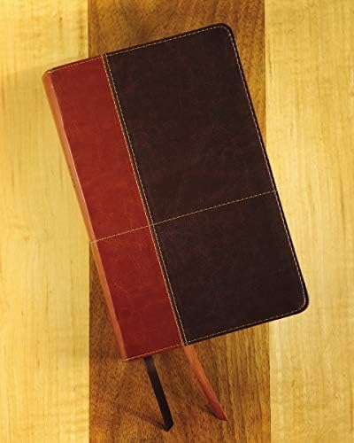 NIV, Personal Size Reference Bible, Large Print, Leathersoft, Tan/Brown, Red Letter, Comfort Print by Zondervan