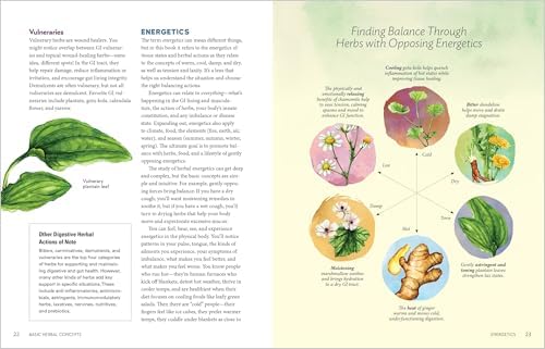 Herbal Gut Health: Natural Therapies to Promote Healthy Digestion, Boost Your Microbiome, and Support Gut Repair by Maria Noel Groves