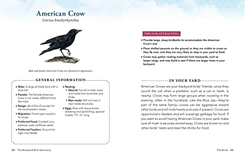 The Backyard Bird Sanctuary: A Beginner's Guide to Creating a Wild Bird Habitat at Home by Alan Baczkiewicz