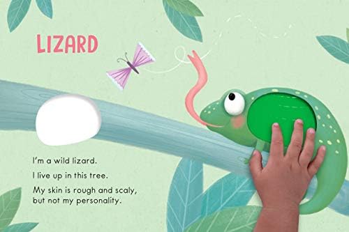 Wild Animals: A Touch and Feel Book - Children's Board Book - Educational by Little Hippo Books