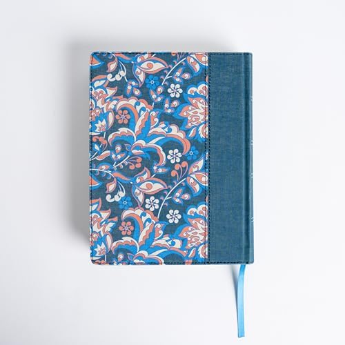 Biblia Reina Valera 1960 de Apuntes, Edición ilustrada. Tela en rosado y azul | RVR 1960 Illustrator’s NoteTaking Bible,Cloth over Board, Blue and Pink (Spanish Edition) by B&H Español Editorial Staff