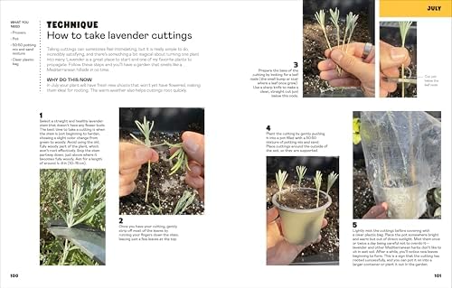 The Easy Garden: Month-by-Month Advice to Improve Your Outside Space by Michael Griffiths