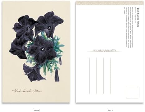 The Goth Garden: Dark Blooms: 50 Postcards Featuring the Mystery and Beauty of the Goth Garden by Felicia Feaster
