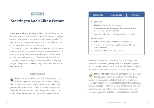 We're Pregnant! The First Time Dad's Pregnancy Handbook by Adrian Kulp
