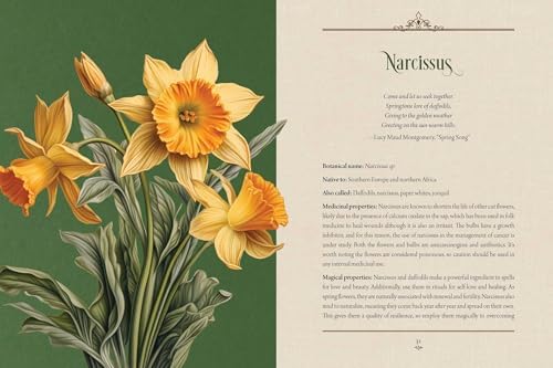 Enchanted Plants: A Treasury of Botanical Folklore and Magic by Varla A. Ventura