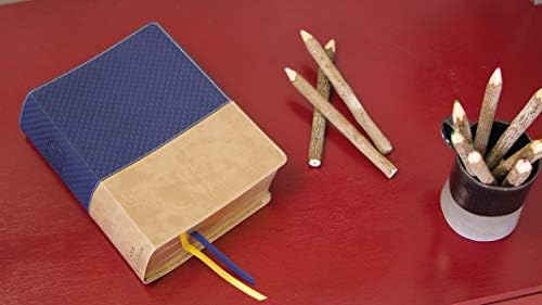NIV Study Bible, Fully Revised Edition (Study Deeply. Believe Wholeheartedly.), Leathersoft, Navy/Tan, Red Letter, Comfort Print by Zondervan
