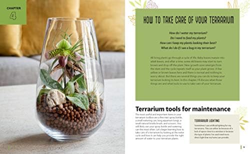 Family Guide to Terrariums for Kids: Imagination-inspiring Projects to Grow a World in Glass - Build a mini ecosystem by Patricia Buzo