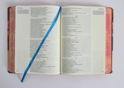 Biblia de Apuntes RVR 1960 Tapa dura, Azul celeste con flores (Edición cantos pintados) / Spanish Journaling Bible RVR 1960 Hardcover Light Blue with Flowers (Spanish Edition) by Reina Valera Revisada 1960