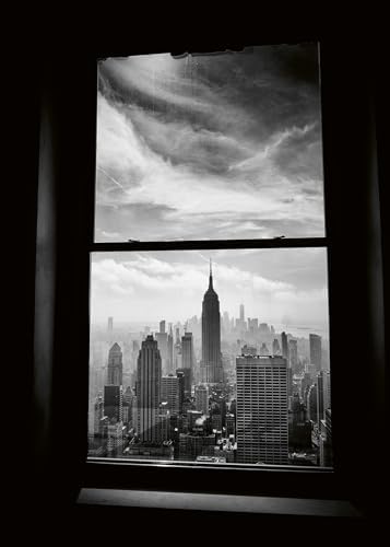 New York Street Diaries by Phil Penman