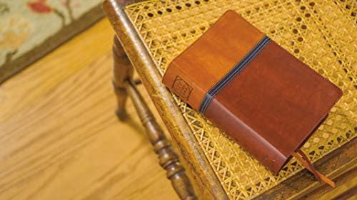 NIV Study Bible, Fully Revised Edition (Study Deeply. Believe Wholeheartedly.), Personal Size, Leathersoft, Brown/Blue, Red Letter, Thumb Indexed, Comfort Print by Zondervan