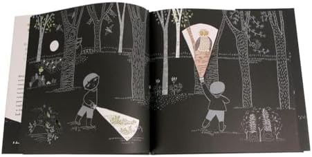 Flashlight: (Picture Books, Wordless Books for Kids, Camping Books for Kids, Bedtime Story Books, Children's Activity Books, Children's Nature Books) (Junior Library Guild Selection) by Lizi Boyd