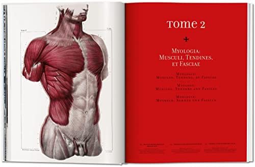Bourgery. Atlas of Human Anatomy and Surgery (Multilingual Edition) by J. M. Bourgery