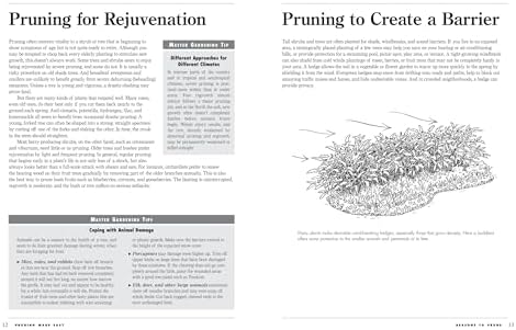 Pruning Made Easy: A Gardener's Visual Guide to When and How to Prune Everything, from Flowers to Trees (Storey's Gardening Skills Illustrated Series) by Lewis Hill