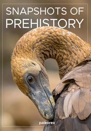 Snapshots of Prehistory by paleorex