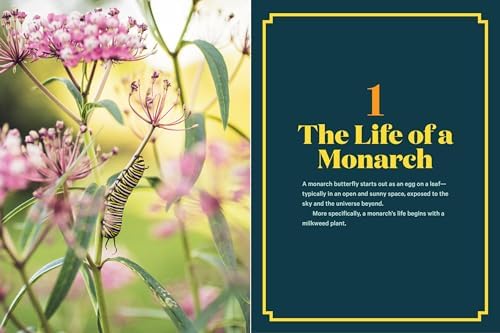 100 Plants to Feed the Monarch: Create a Healthy Habitat to Sustain North America's Most Beloved Butterfly by The Xerces Society