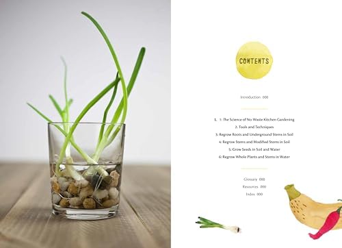 No-Waste Kitchen Gardening: Regrow Your Leftover Greens, Stalks, Seeds, and More (No-Waste Gardening) by Katie Elzer-Peters