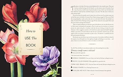 The Complete Language of Flowers: A Definitive and Illustrated History - Pocket Edition by S. Theresa Dietz