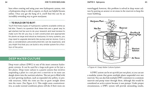 How to Grow Marijuana: The Easiest Guide to Growing Weed by Murph Wolfson