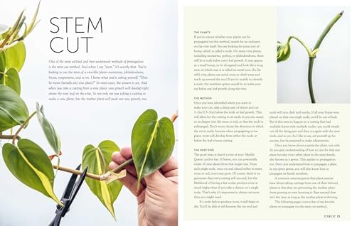 The Propagation Handbook: A guide to propagating houseplants by Hilton Carter