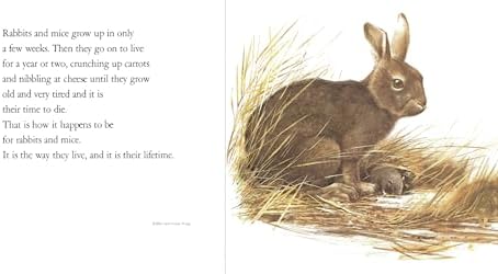 Lifetimes: The Beautiful Way to Explain Death to Children by Bryan Mellonie