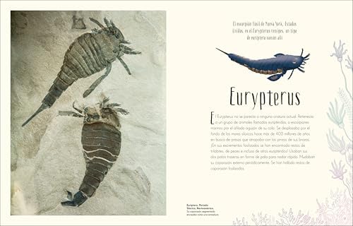 Antología de dinosaurios y vida prehistórica (Dinosaurs and Other Prehistoric Life) (DK Children's Anthologies) (Spanish Edition) by Professor Anusuya Chinsamy-Turan