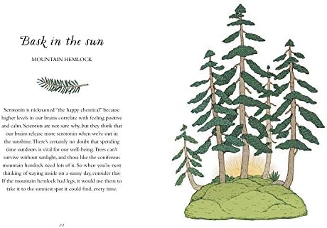 How to Be More Tree: Essential Life Lessons for Perennial Happiness by Potter Gift