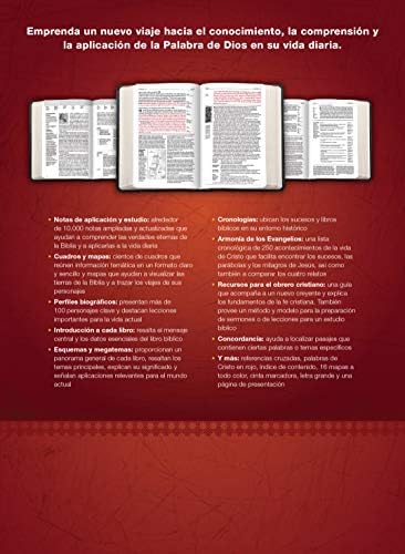 Biblia de estudio del diario vivir RVR60, letra grande (SentiPiel, Café/Café claro, Letra Roja) (Spanish Edition) by Tyndale