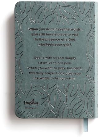 Daily Prayers for Grieving Hearts: A 90-Day Prayer Devotional (Daily Devotions to Discover Comfort During Grief and Loss, Begin Healing, and Find Refuge in God) by DaySpring