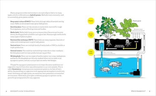 Beginner's Guide to Aquaponics: Step-by-Step Systems for Plants and Fish by Seth Connell