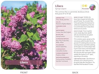 The Flower Garden Deck: 50 Flower Care Cards to Help You Plan, Plant, and Grow the Perfect Garden! by Jon VanZile