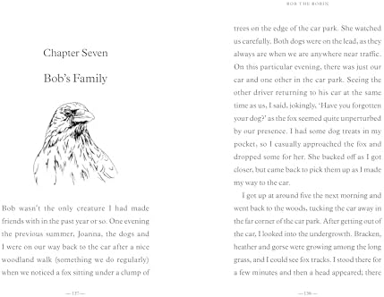 Bob the Robin: A love letter to Britain’s favourite bird by Tony Putman