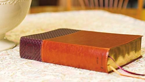 NIV Study Bible, Fully Revised Edition (Study Deeply. Believe Wholeheartedly.), Large Print, Leathersoft, Brown, Red Letter, Comfort Print by Zondervan