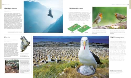 Vida salvaje: Una enciclopedia del mundo animal (Animal Behavior): Historias de instinto, inteligencia y adaptación (DK Definitive Visual Encyclopedias) (Spanish Edition) by DK