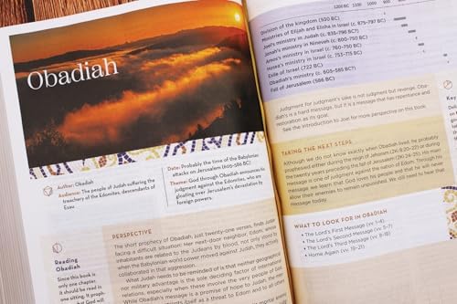NIV Application Bible, Large Print, European Bonded Leather, Black, Red Letter, Indexed, Comfort Print: Bringing the Ancient Message of the Bible into Your World by Zondervan