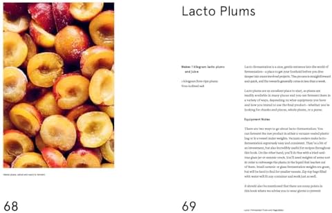 The Noma Guide to Fermentation: Including koji, kombuchas, shoyus, misos, vinegars, garums, lacto-ferments, and black fruits and vegetables (Foundations of Flavor) by René Redzepi