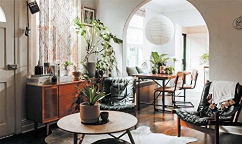 Leaf Supply: A Guide to Keeping Happy House Plants by Lauren Camilleri