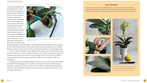 Bloom: The secrets of growing flowering houseplants year-round by Lisa Eldred Steinkopf